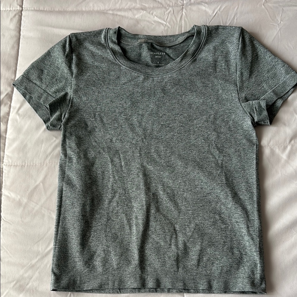 Aritzia Fitted Gray Short Sleeve Tee